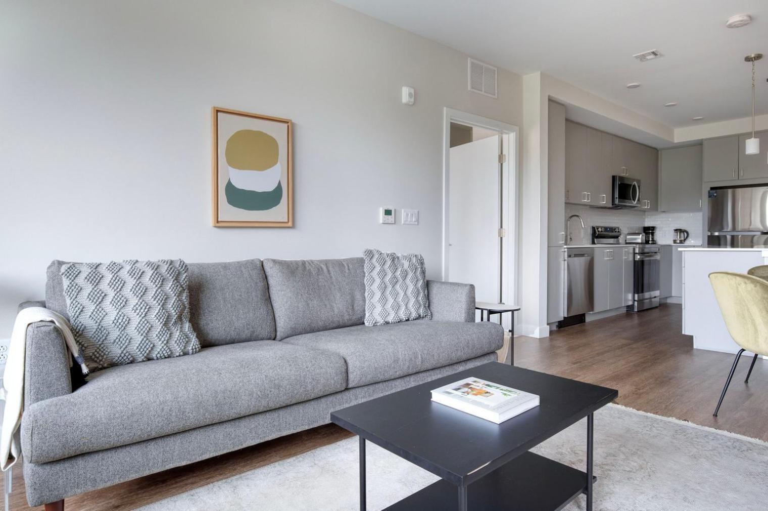Apartment Brighton 2br W Wd Gym Nr Line Bos-894 Boston